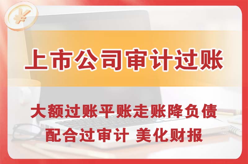 嵊州上市公司审计过账